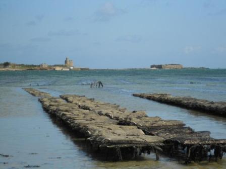 Manoir En Cotentin , Tamerville Exteriér fotografie